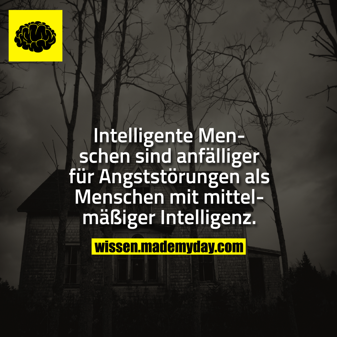 Intelligente Menschen sind anfälliger für Made My Day