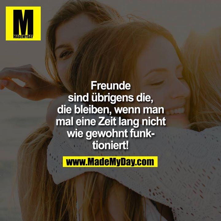 Freunde sind übrigens die, die Made My Day