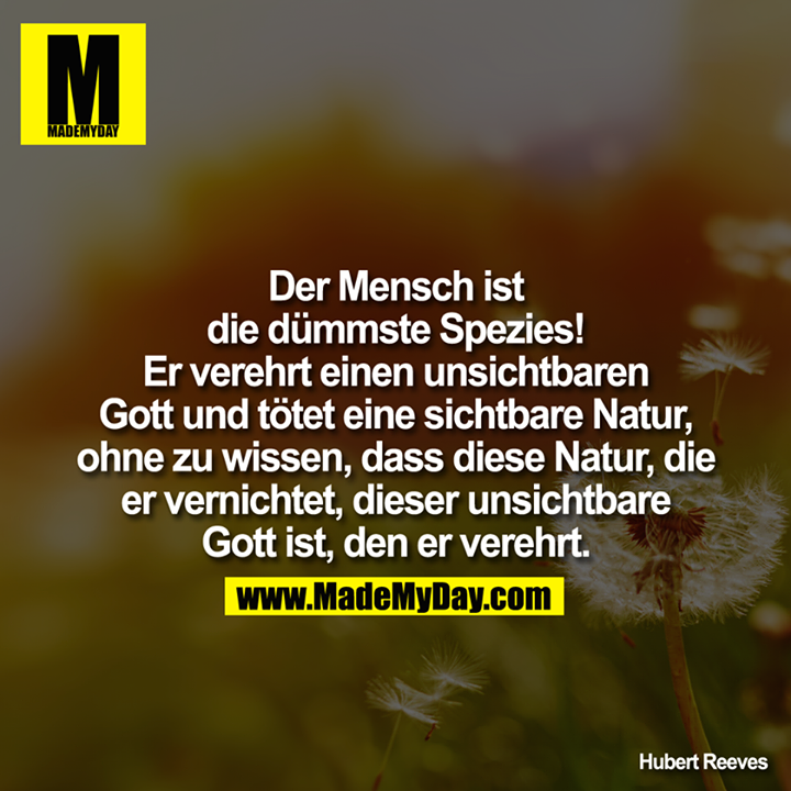 Der Mensch Ist Von Natur Aus Böse Bibel Der Mensch ist die - Made My Day