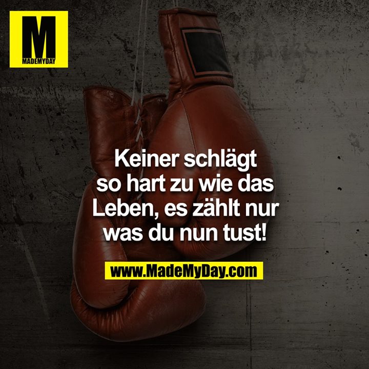 Keiner schlägt so hart zu Made My Day