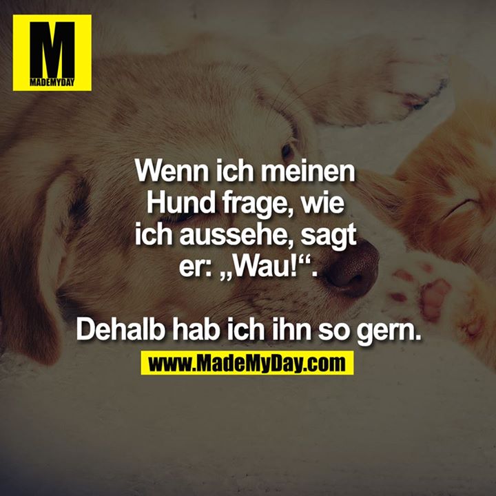 Made My Day
