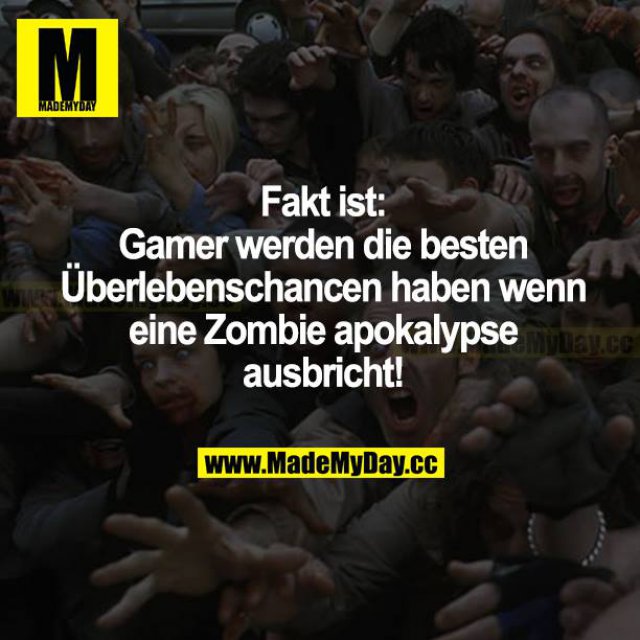 Gamer Sprüche Gamer Sprüche