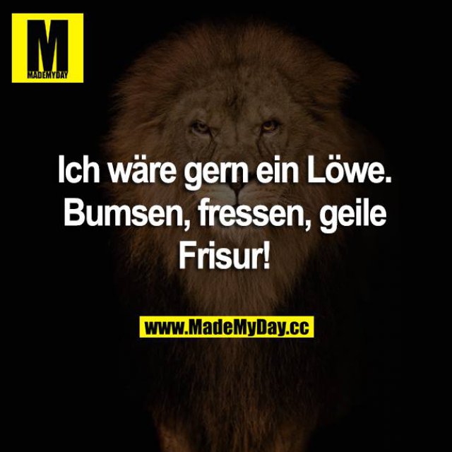 Ich Will Dich Bumsen Ich Will Dich Bumsen