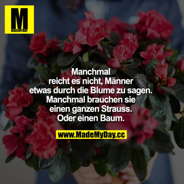 Manchmal reicht es nicht, Männer Made My Day