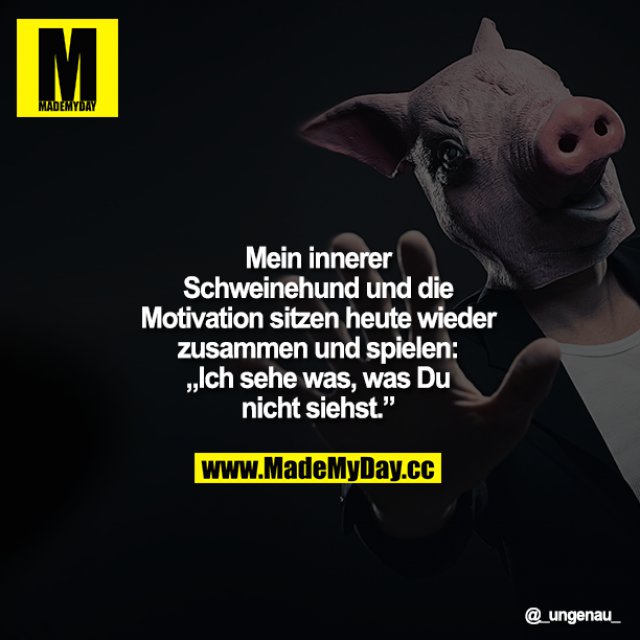 Mein innerer Schweinehund und die Made My Day