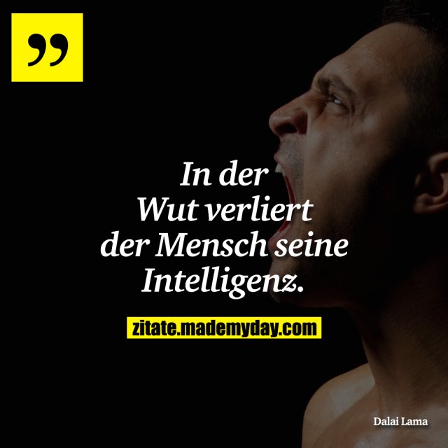 Image Result For Albert Einstein Zitate Wenn Beziehung Nicht Hilft Image Result For Albert Einstein Zitate Wenn Beziehung Nicht Hilft