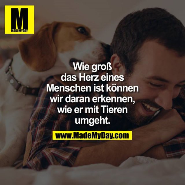 Wie groß das Herz eines Made My Day