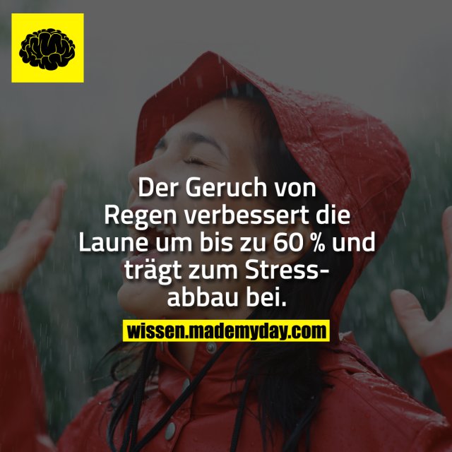 Zitate Weisheiten Aus Afrika