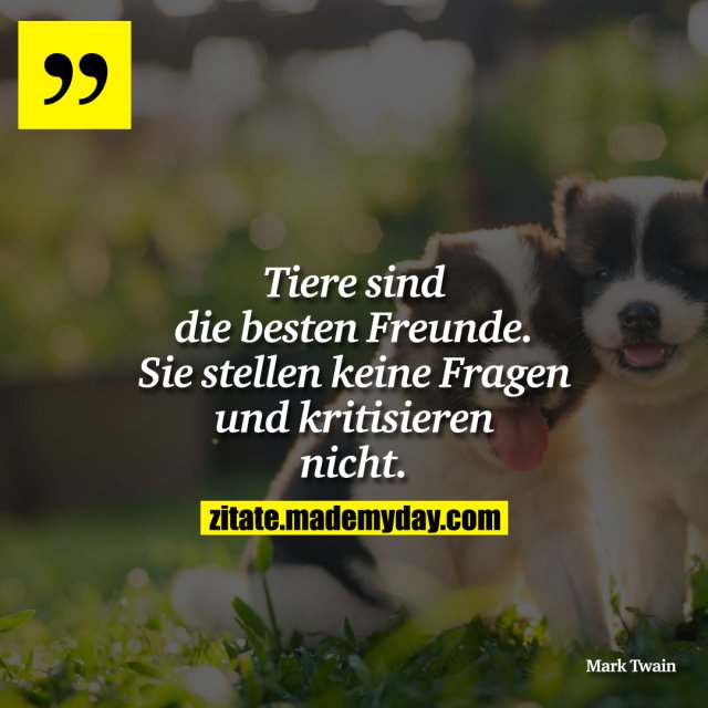 Tiere sind die besten Freunde. Made My Day
