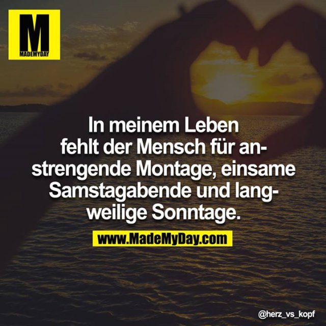 Langweiliger Sonntag Langweiliger Sonntag