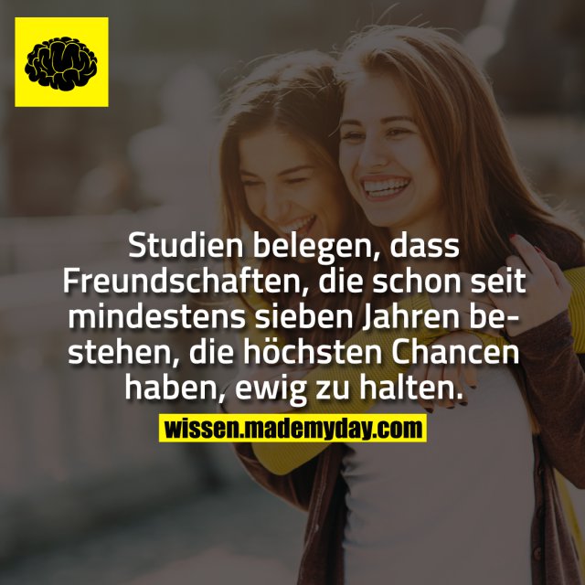 Studien belegen, dass Freundschaften, die Made My Day