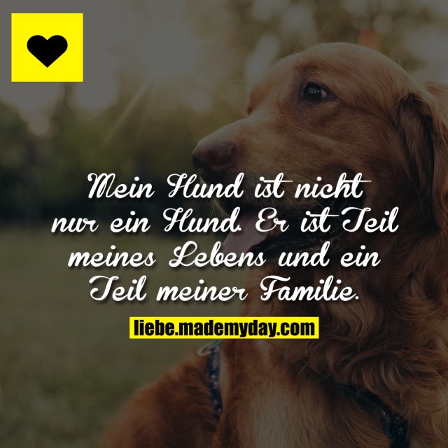 Mein Hund ist nicht nur Made My Day